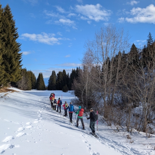 PXL_20260123_110657191