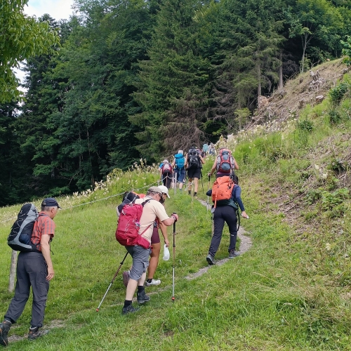 IMG20250712154322