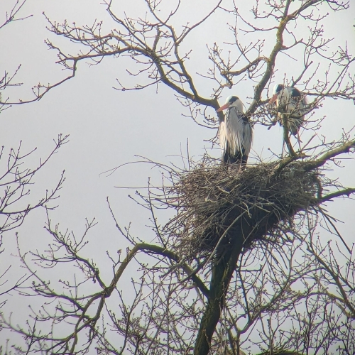 PXL_20260402_072102628