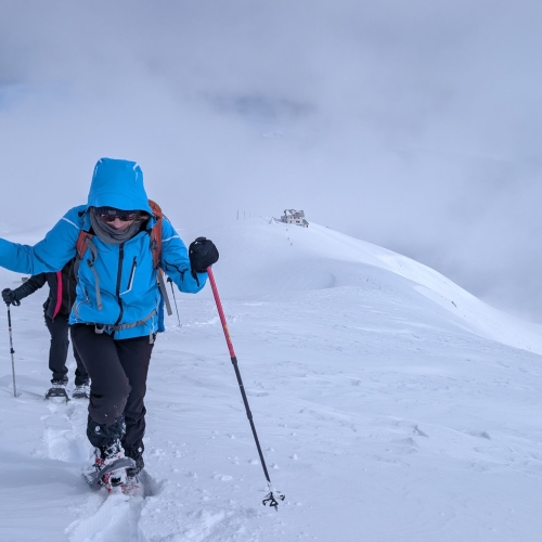 PXL_20260315_114610066