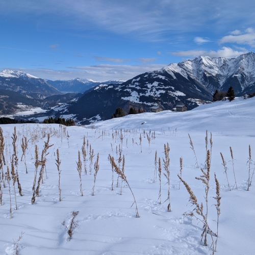 PXL_20260123_113917150