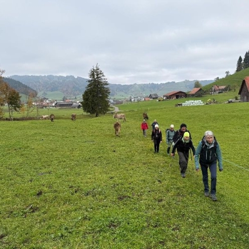 24b8aba6-118a-4a97-b254-a11bea3ade17