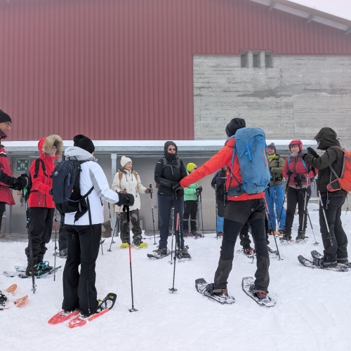 PXL_20260315_083557233