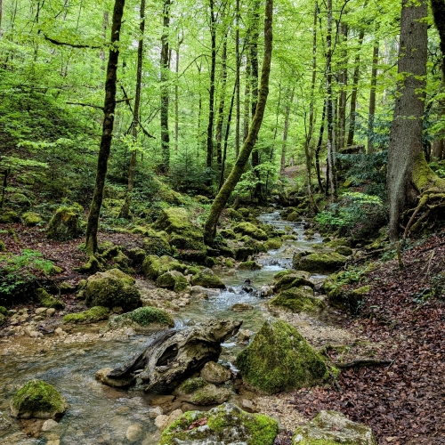 PXL_20250426_064854480~2