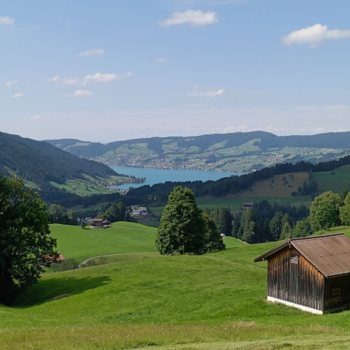 IMG20250712161636